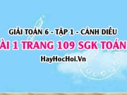 Giải bài 1 trang 109 Toán 6 Tập 1 SGK Cánh Diều